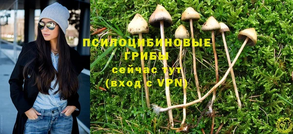 амф Алзамай