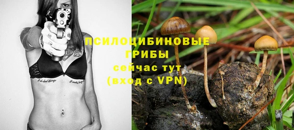 амф Алзамай