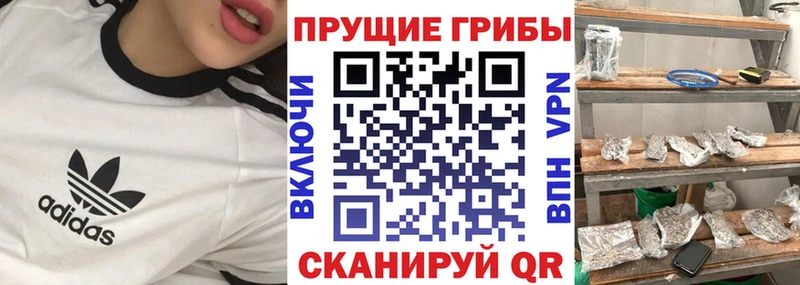 Псилоцибиновые грибы Cubensis  Большой Камень 